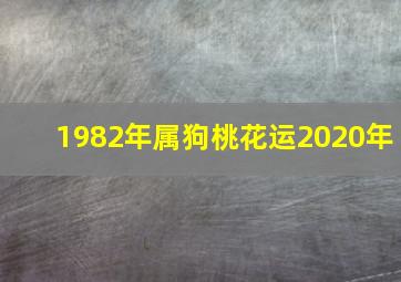 1982年属狗桃花运2020年