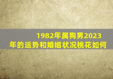 1982年属狗男2023年的运势和婚姻状况桃花如何