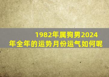 1982年属狗男2024年全年的运势月份运气如何呢