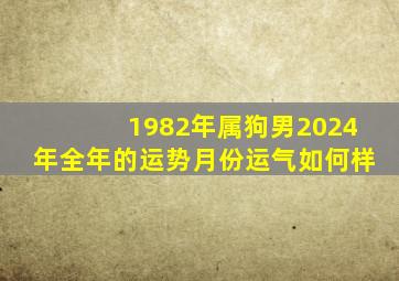 1982年属狗男2024年全年的运势月份运气如何样