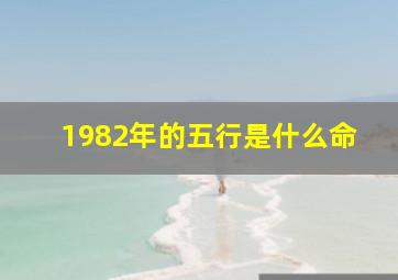 1982年的五行是什么命