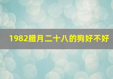 1982腊月二十八的狗好不好