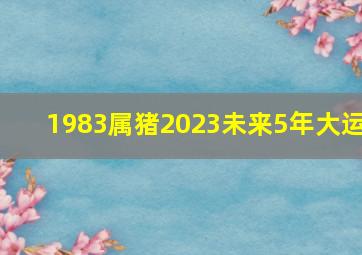 1983属猪2023未来5年大运