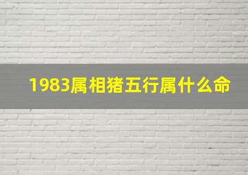 1983属相猪五行属什么命