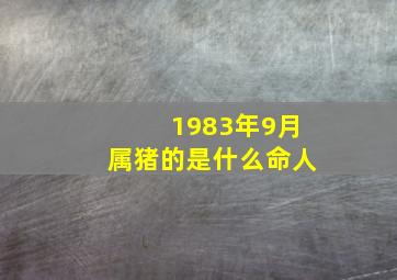 1983年9月属猪的是什么命人