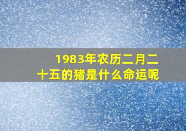 1983年农历二月二十五的猪是什么命运呢