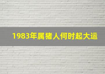 1983年属猪人何时起大运