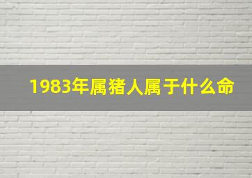 1983年属猪人属于什么命