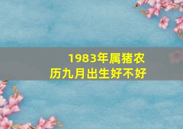 1983年属猪农历九月出生好不好