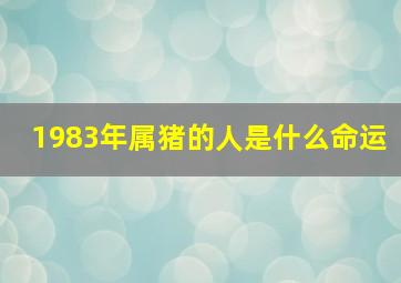 1983年属猪的人是什么命运