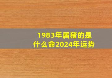 1983年属猪的是什么命2024年运势