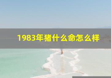 1983年猪什么命怎么样