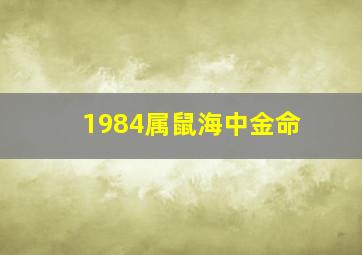 1984属鼠海中金命