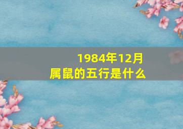 1984年12月属鼠的五行是什么