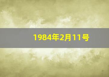 1984年2月11号