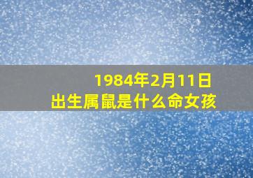 1984年2月11日出生属鼠是什么命女孩