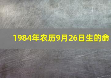 1984年农历9月26日生的命