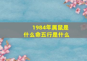 1984年属鼠是什么命五行是什么