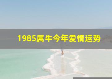 1985属牛今年爱情运势