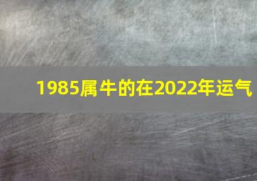 1985属牛的在2022年运气