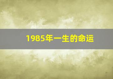 1985年一生的命运