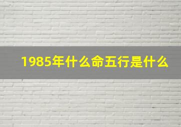 1985年什么命五行是什么