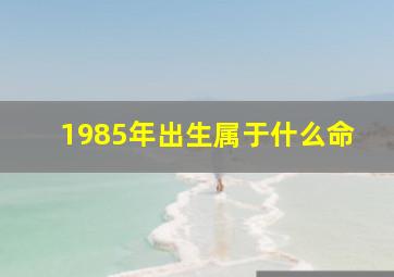 1985年出生属于什么命