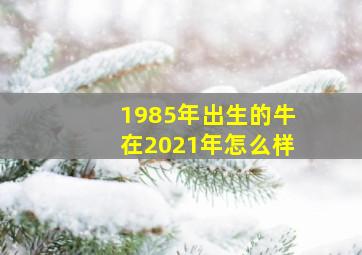 1985年出生的牛在2021年怎么样