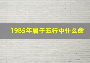 1985年属于五行中什么命