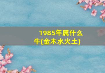 1985年属什么牛(金木水火土)