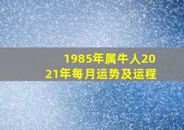 1985年属牛人2021年每月运势及运程