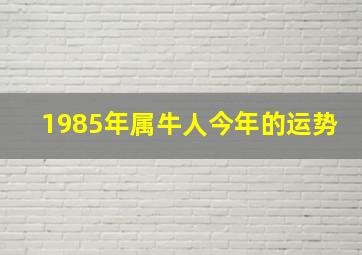 1985年属牛人今年的运势