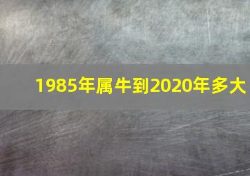 1985年属牛到2020年多大