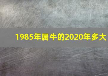 1985年属牛的2020年多大