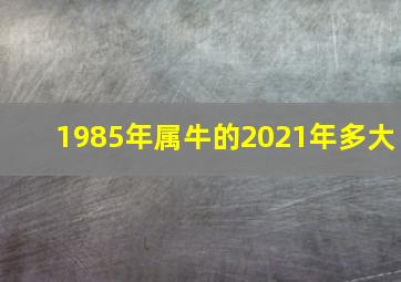 1985年属牛的2021年多大