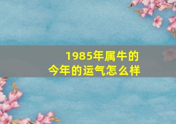 1985年属牛的今年的运气怎么样