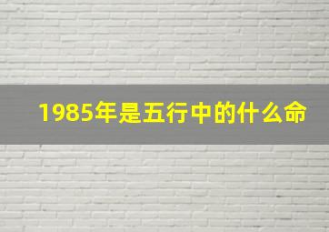 1985年是五行中的什么命