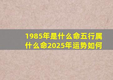 1985年是什么命五行属什么命2025年运势如何