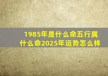 1985年是什么命五行属什么命2025年运势怎么样