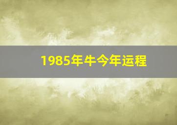 1985年牛今年运程