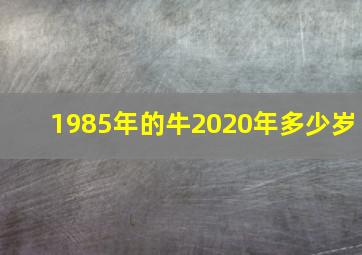 1985年的牛2020年多少岁