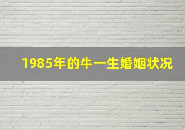 1985年的牛一生婚姻状况