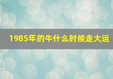 1985年的牛什么时候走大运