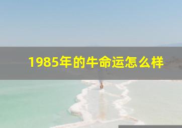 1985年的牛命运怎么样