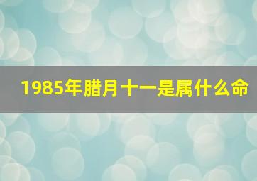 1985年腊月十一是属什么命