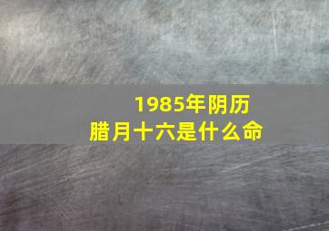 1985年阴历腊月十六是什么命