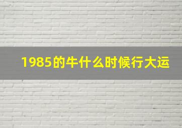 1985的牛什么时候行大运