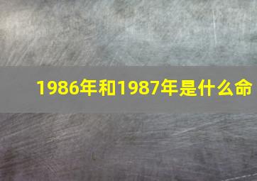 1986年和1987年是什么命