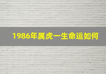 1986年属虎一生命运如何