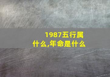 1987五行属什么,年命是什么